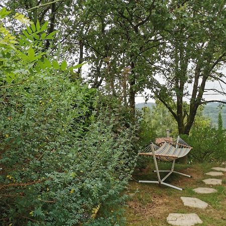 Chambre Chez L'Habitant A La Campagne Sidobre Burlats Экстерьер фото