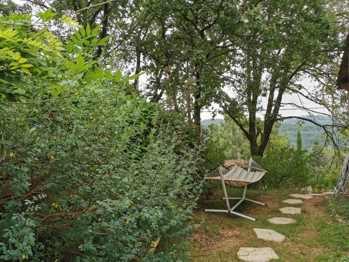 Chambre Chez L'Habitant A La Campagne Sidobre Burlats Экстерьер фото